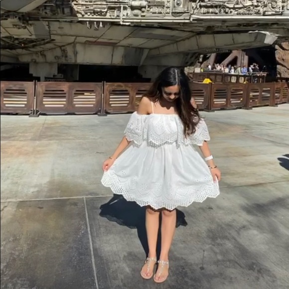 Meet your Posher, Taj - Picture 1 of 1